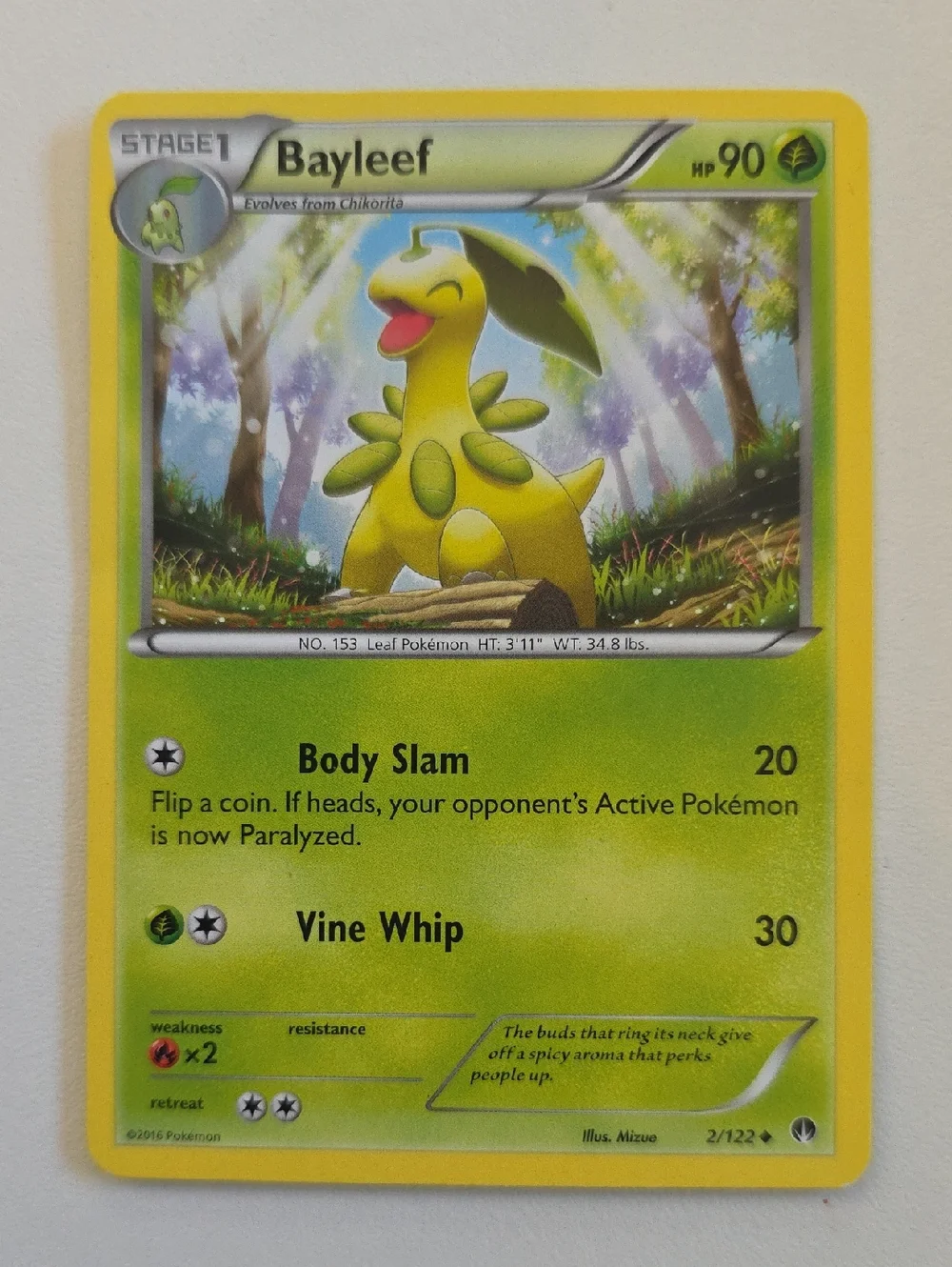 Pokemon Bayleef Card